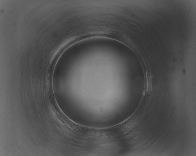 X0000053070435200507181630