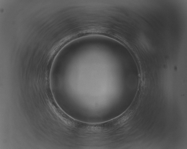 X0000053070437200507181630