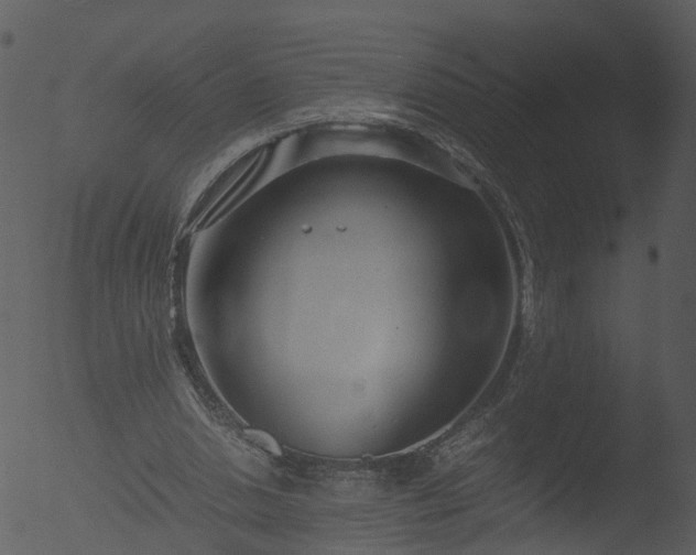 X0000053070438200507181630