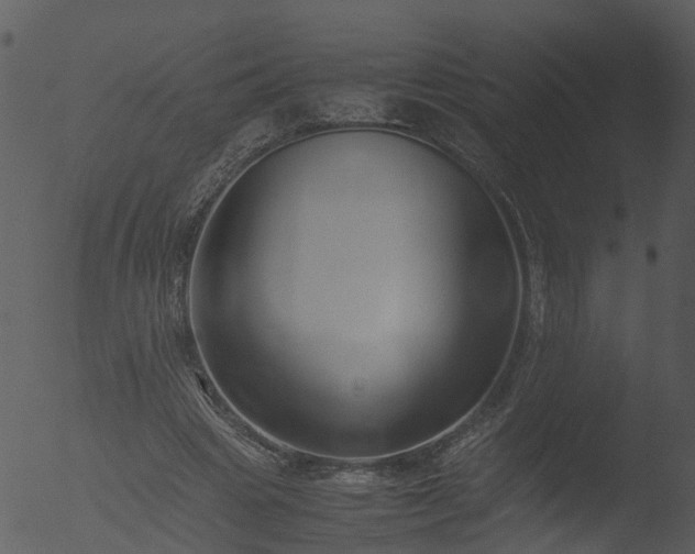 X0000053070441200507181630