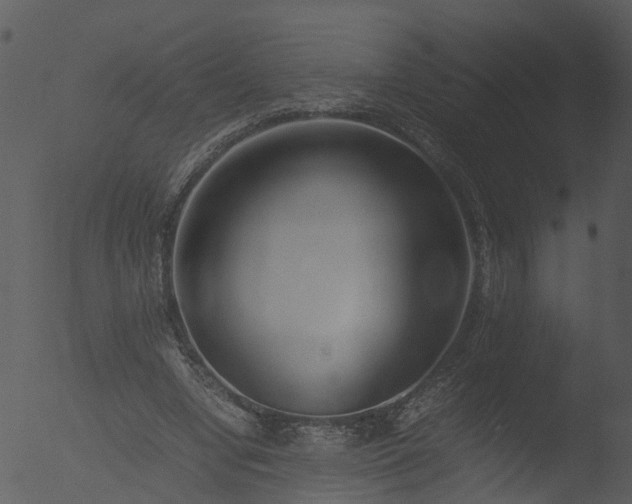 X0000053070442200507181630