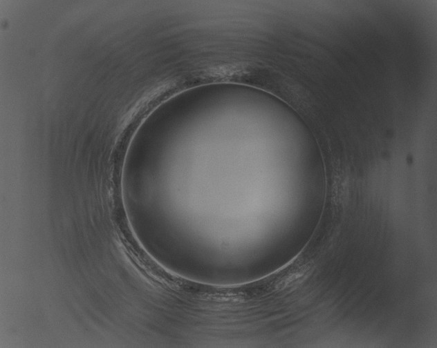 X0000053070443200507181630