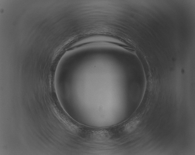 X0000053070446200507181630