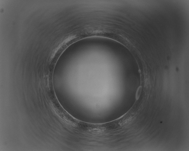 X0000053070447200507181630