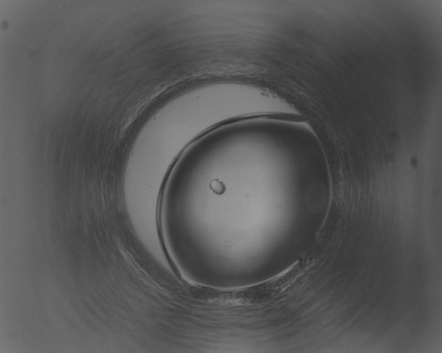 X0000053070448200507181630