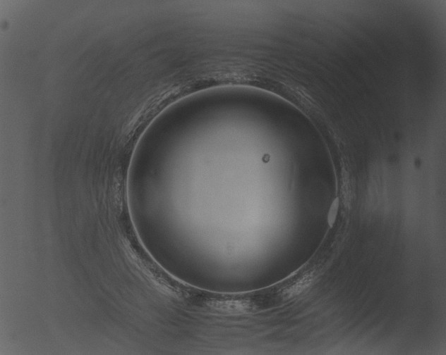 X0000053070449200507181630