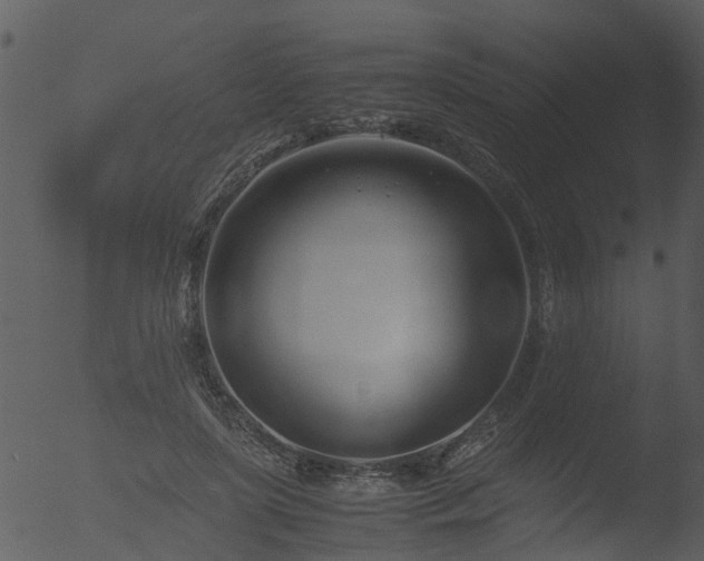 X0000053070451200507181630