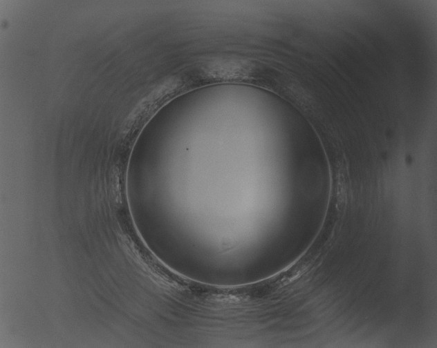 X0000053070453200507181630