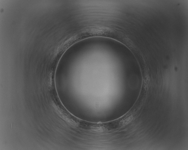 X0000053070454200507181630