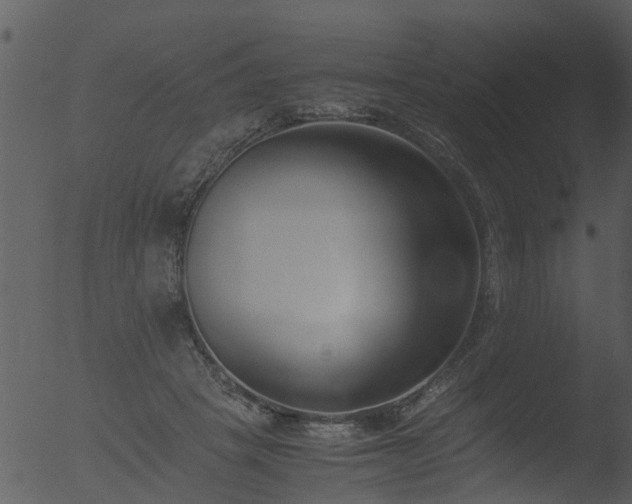 X0000053070457200507181630