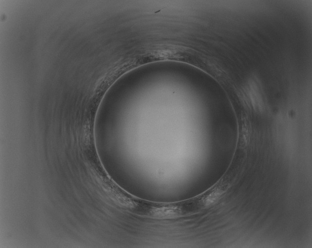 X0000053070461200507181630