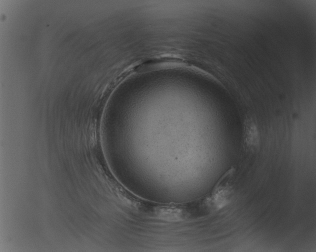 X0000053070471200507181631