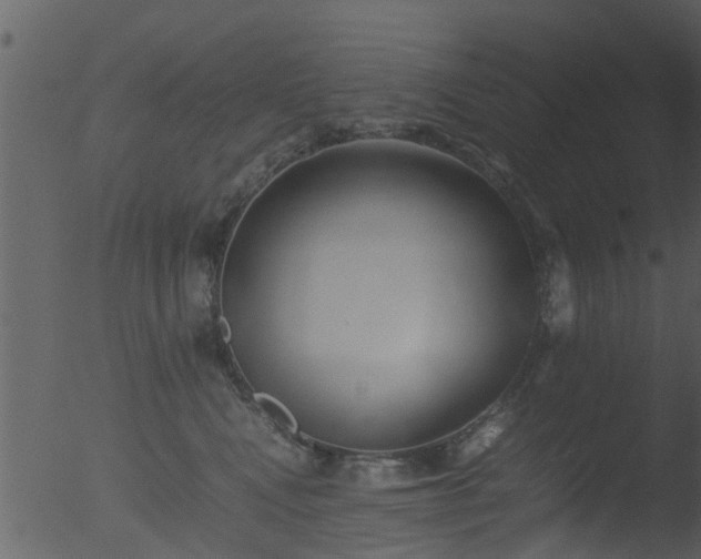 X0000053070472200507181631