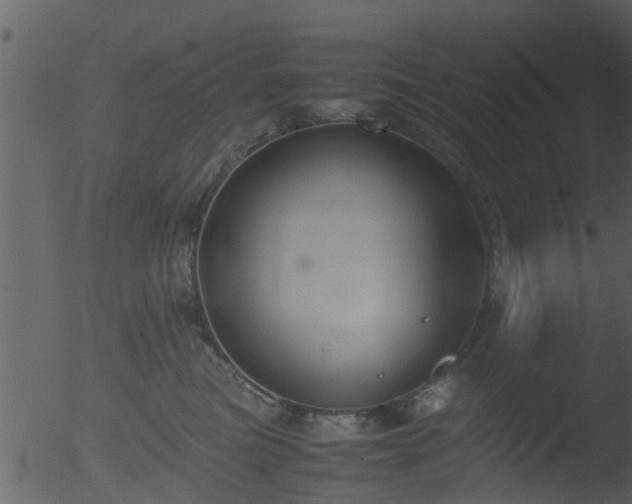 X0000053070473200507181631