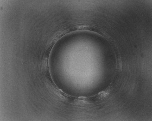 X0000053070475200507181631