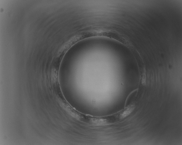 X0000053070476200507181631