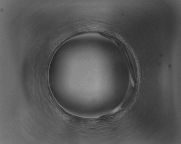 X0000053070481200507181630