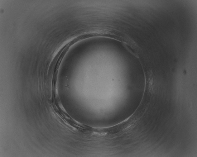 X0000053070484200507181630