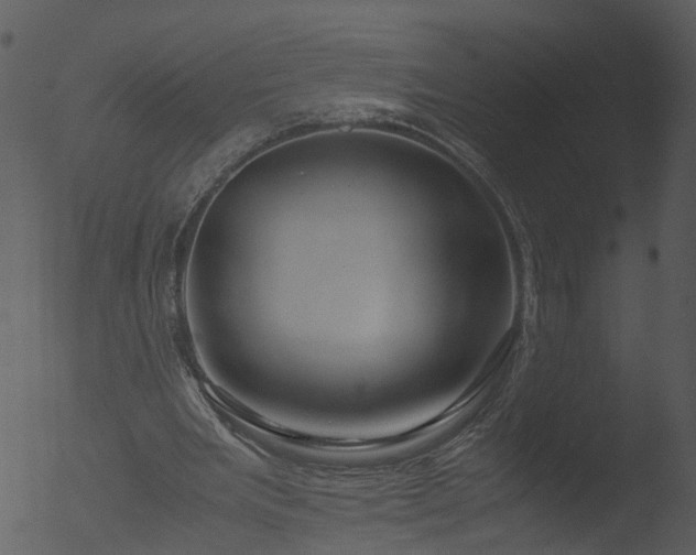 X0000053070485200507181630