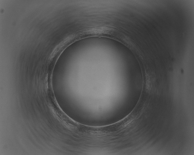 X0000053070486200507181630