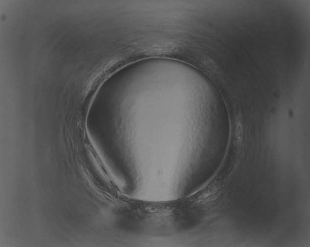 X0000053070491200507181630