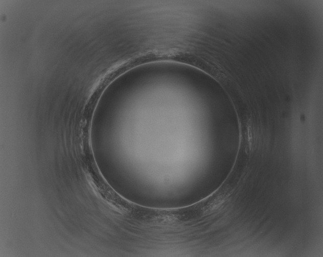 X0000053070492200507181630