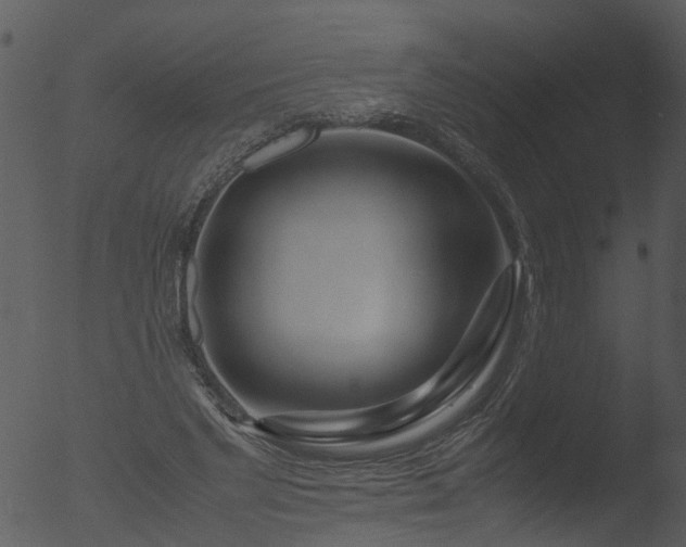 X0000053070493200507181630