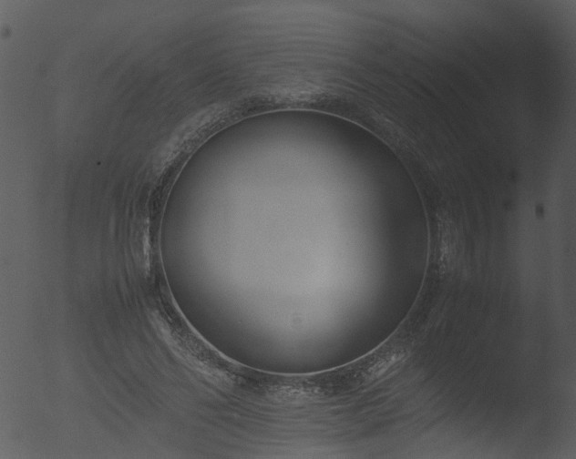 X0000053070494200507181630