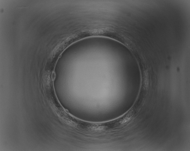 X0000053070495200507181630