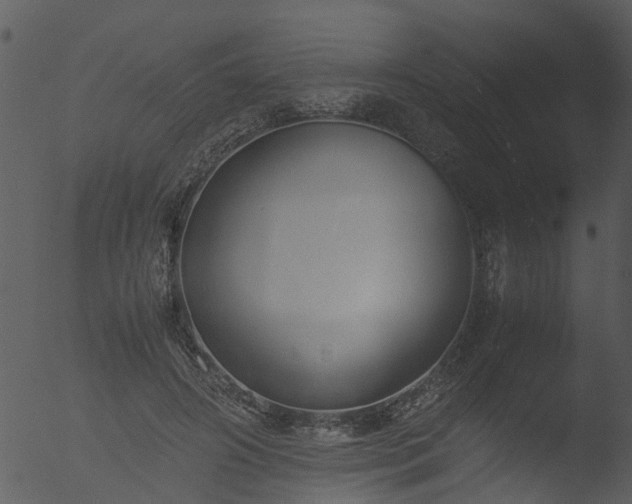 X0000053070498200507181630