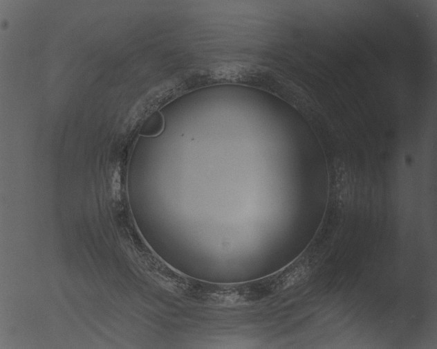 X0000053070502200507181630