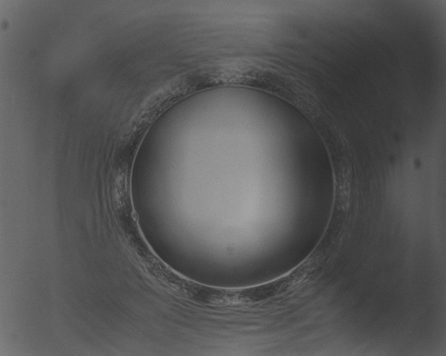 X0000053070503200507181630