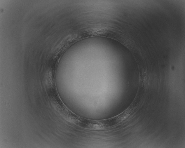 X0000053070506200507181630