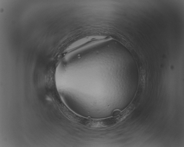 X0000053070507200507181630