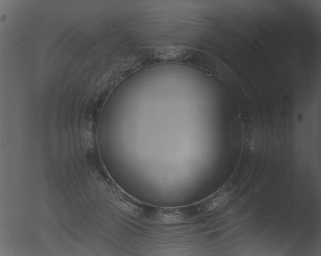 X0000053070510200507181629