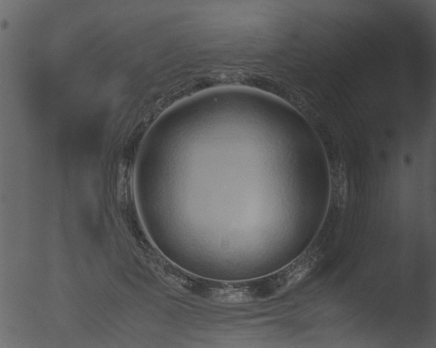 X0000053070511200507181629