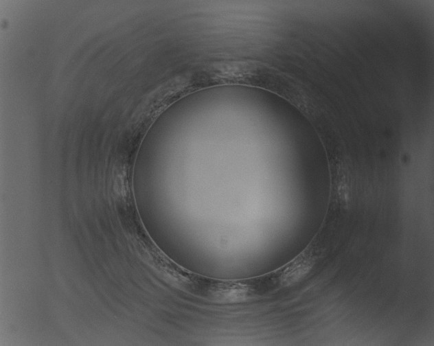 X0000053070514200507181629