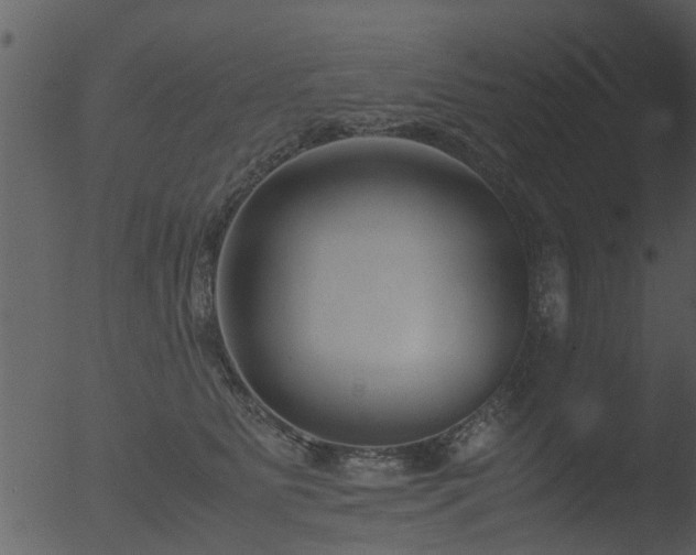 X0000053070515200507181629