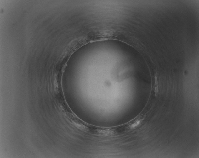 X0000053070516200507181629