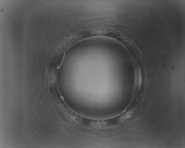 X0000053070517200507181629