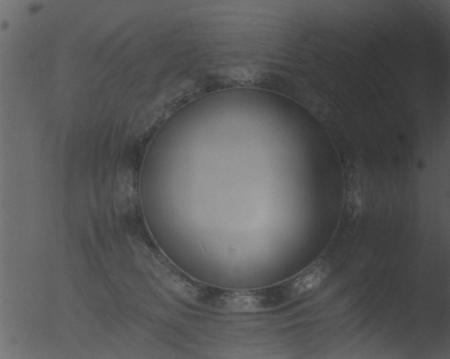 X0000053070518200507181629