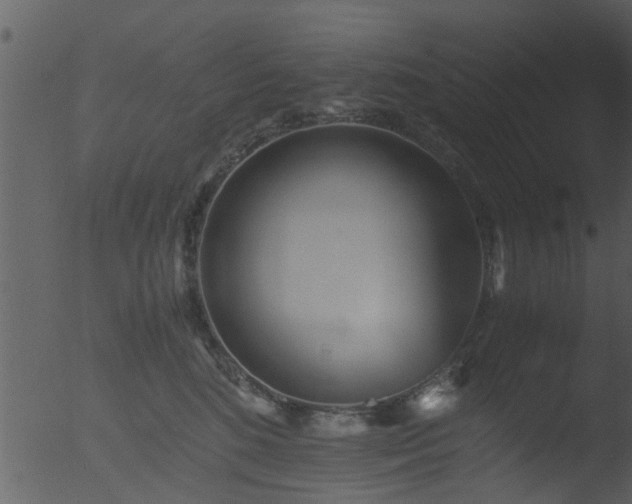 X0000053070520200507181629