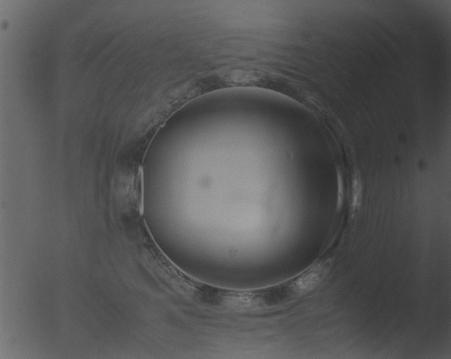 X0000053070521200507181629