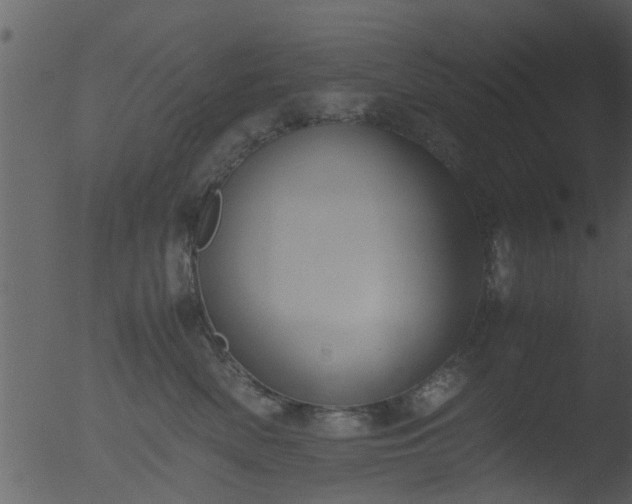 X0000053070522200507181629