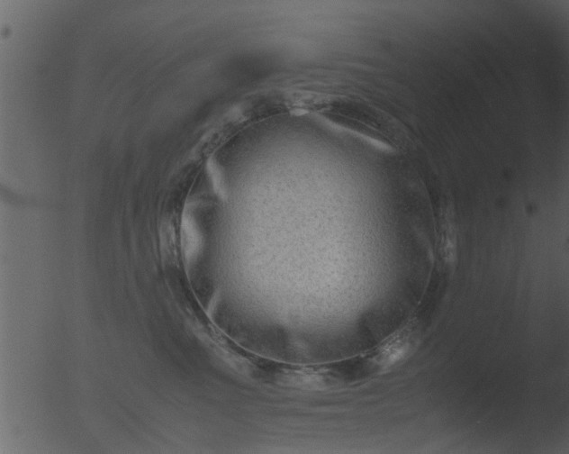 X0000053070523200507181629