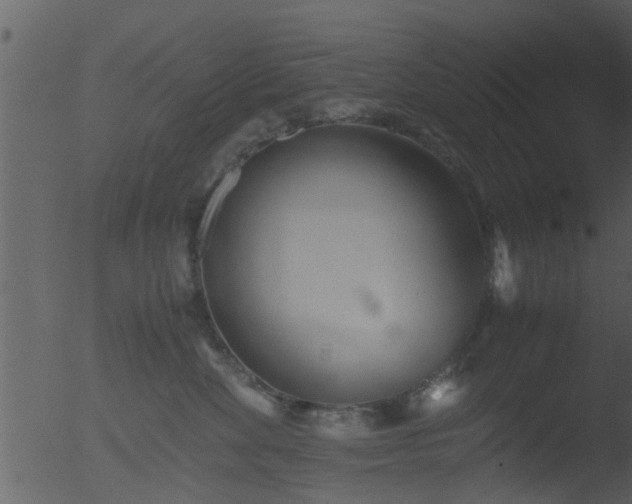 X0000053070524200507181629