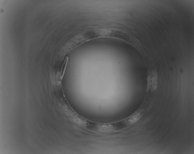 X0000053070525200507181629