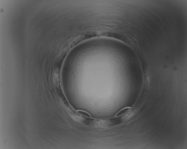 X0000053070527200507181629