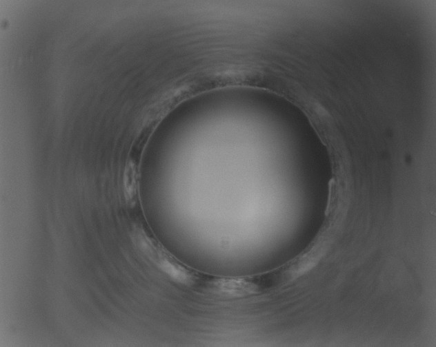 X0000053070528200507181629