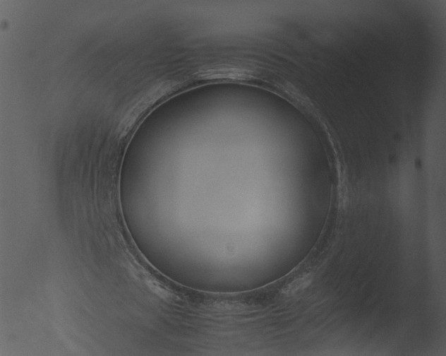 X0000053070529200507181628